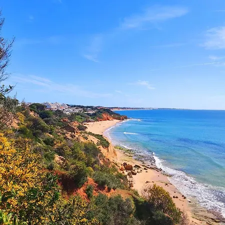 Apartment With Atlantic Ocean View By Becherish Olhos de Agua (Albufeira)