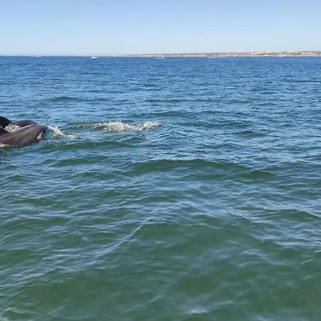 아파트 With Atlantic Ocean View By Becherish 올류스 데 아구아
